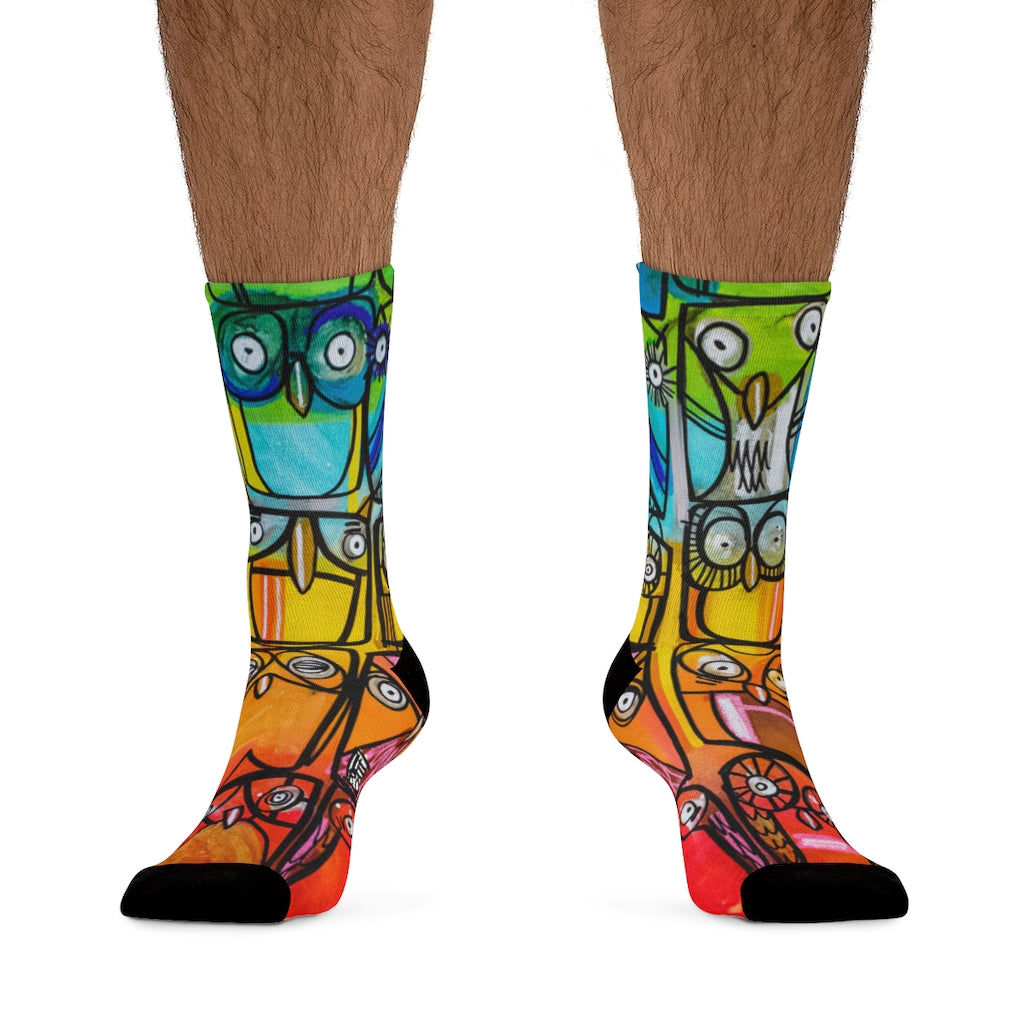 A Parliament of Rainbow Owls - Rainbow Collection - Lebo Tribe Socks